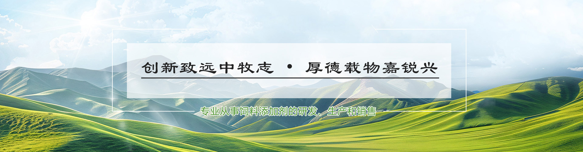 新闻中心